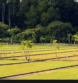 Cemitério Israelita (Butantã) 